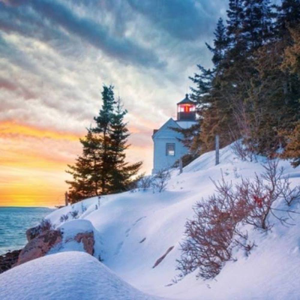 Meet your Posher, Cecily